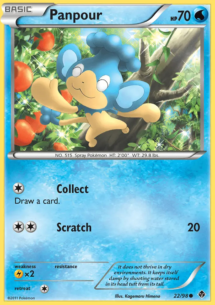 Image of the card Panpour